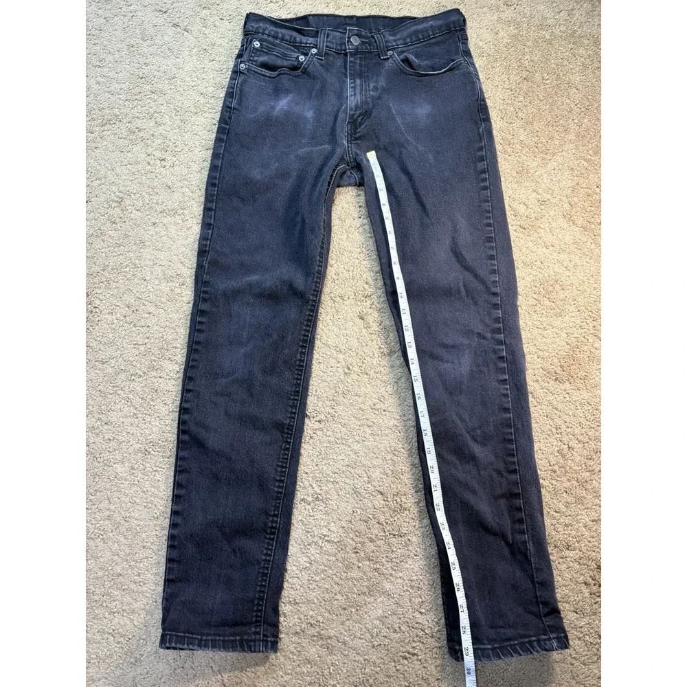 Levis levis 531